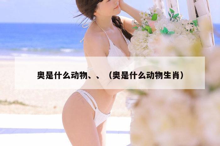 奥是什么动物、、（奥是什么动物生肖）