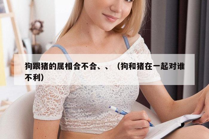 狗跟猪的属相合不合、、(狗和猪在一起对谁不利)