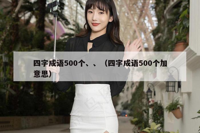 四字成语500个、、（四字成语500个加意思）